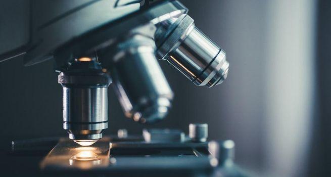 Why Anbio Biotechnology (NASDAQ: NNNN) Stock Crashed 21% Today: Examining the Key Catalysts Behind the Selloff