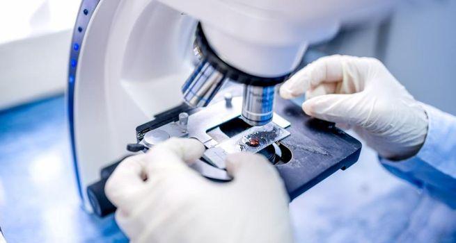 Why Did Health Catalyst (NASDAQ:HCAT) Surge 35% on the $147 Million Vitalware Sale?