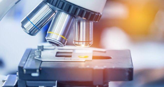 CEL-SCI (NYSE: CVM) Multikine International Expansion Strategy Targets Gulf Region Regulatory Pathway Via Saudi Amarox