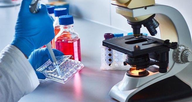 MBX Biosciences (NASDAQ: MBX) Canvuparatide Posts Durable 57% Responder Rate in One-Year Open-Label Extension Data