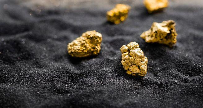 Fortuna Mining (NYSE:FSM) Reports Q4 Earnings—Can Institutional Support Drive Shares Higher?