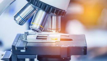 CEL-SCI (NYSE: CVM) Multikine International Expansion Strategy Targets Gulf Region Regulatory Pathway Via Saudi Amarox