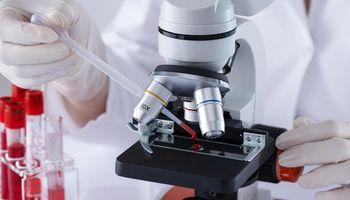 Tango Therapeutics Exploded 53% on a 92% Response Rate in Pancreatic Cancer - Here's the Clinical Data That's Making Every Oncology Investor Pay Attention
