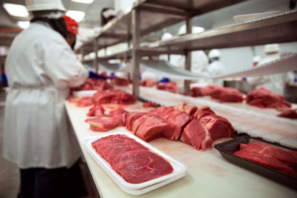 Should you Invest in this Global Food Stock – HRL