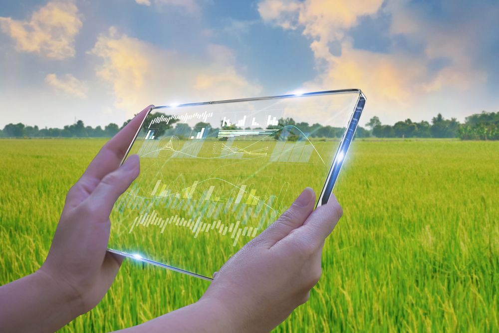 Stay Invested in These US-Listed Large-Cap Stocks – ADM, TTD, ZEN