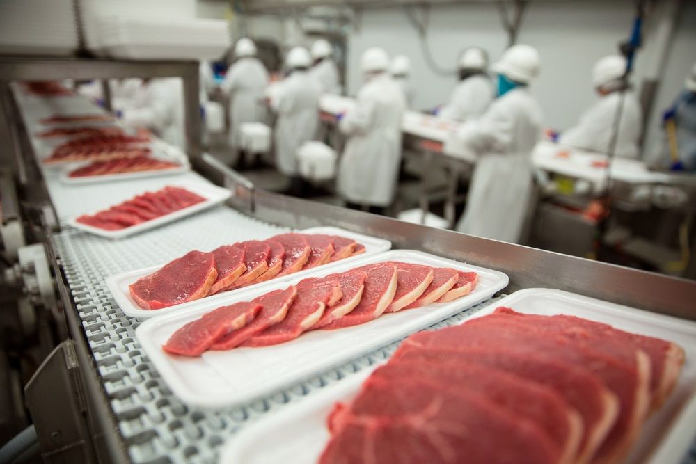 Should you Invest in this Global Food Stock for Long-Term – HRL
