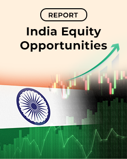 India Equity Opportunities Report